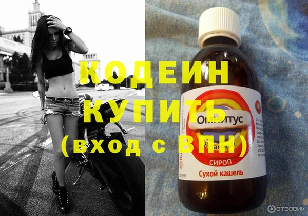 прущий лед Алзамай