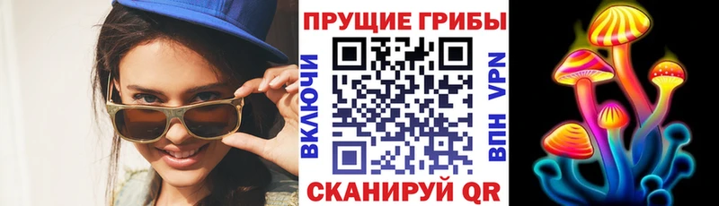 купить  цена  Кольчугино  Галлюциногенные грибы прущие грибы 
