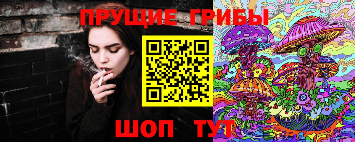 Галлюциногенные грибы Cubensis  Вход с VPN  Кольчугино 